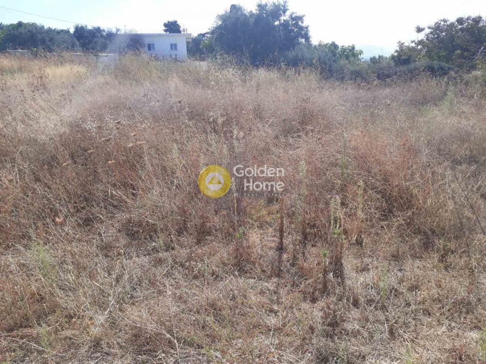Οικόπεδο 2.984 τ.μ. προς πώληση, Χωραφάκια