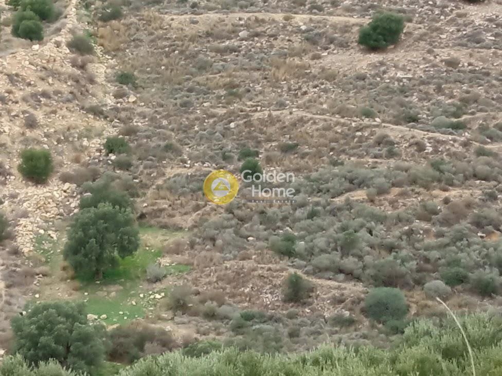 Αγροτεμάχια 3.500 τ.μ. προς πώληση, Πιτσίδια