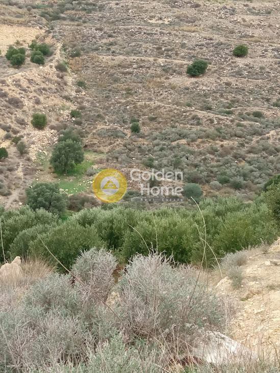 Αγροτεμάχια 3.500 τ.μ. προς πώληση, Πιτσίδια