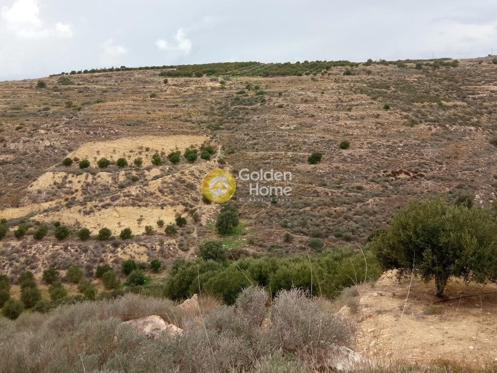 Αγροτεμάχια 3.500 τ.μ. προς πώληση, Πιτσίδια