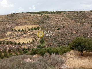 Αγροτεμάχια 3.500 τ.μ. για πώληση