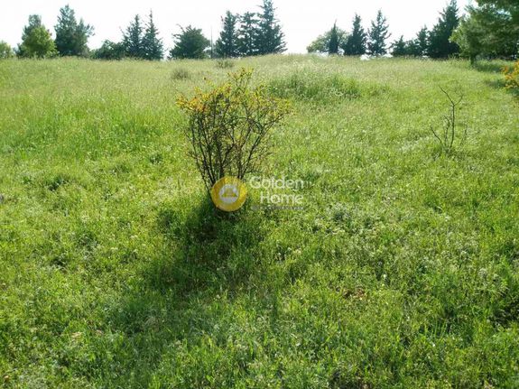 Parcel 5.500 sqm for sale, Rest Of Attica, Com. Kapandriti