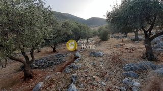Αγροτεμάχια 825 τ.μ. για πώληση