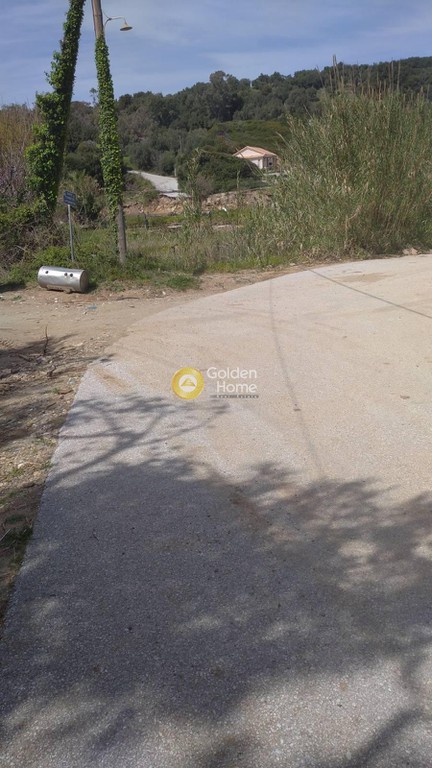 Αγροτεμάχια 1.000 τ.μ. πρός πώληση, Μαγνησία, Αργαλαστή