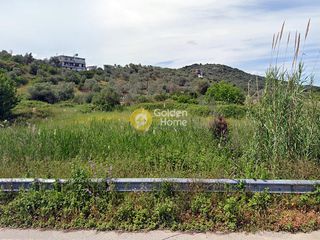 Οικόπεδο 2.300 τ.μ. για ενοικίαση