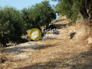 Οικόπεδο 4.980 τ.μ. για πώληση