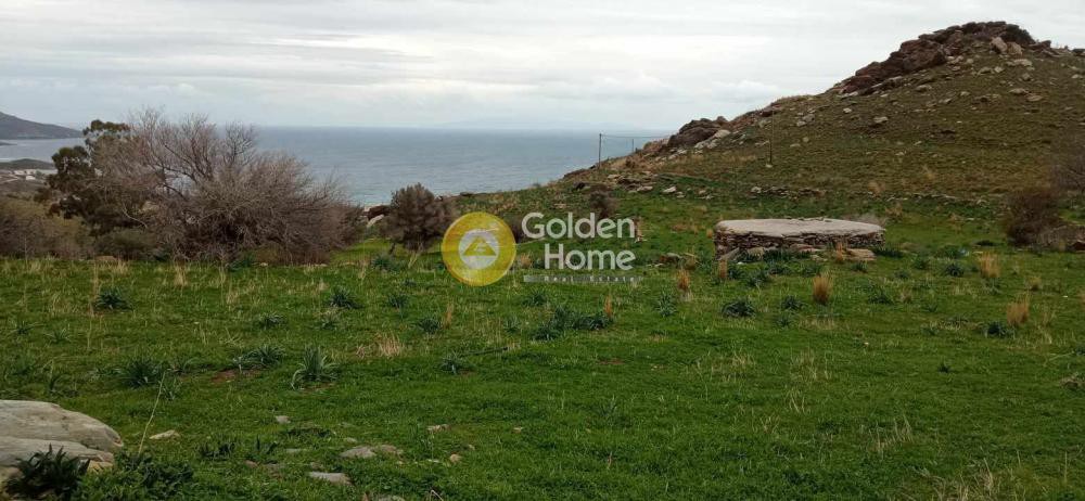 Οικόπεδο 7.142 τ.μ. προς πώληση, Κέντρο Καρύστου