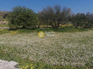 Οικόπεδο 4.673 τ.μ. για πώληση