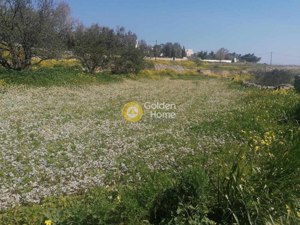 Οικόπεδο 4.673 τ.μ. προς πώληση, Ερμούπολη