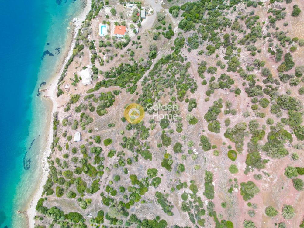 Οικόπεδο 24.000 τ.μ. προς πώληση, Όαση Λουτρακίου-Περαχώρας