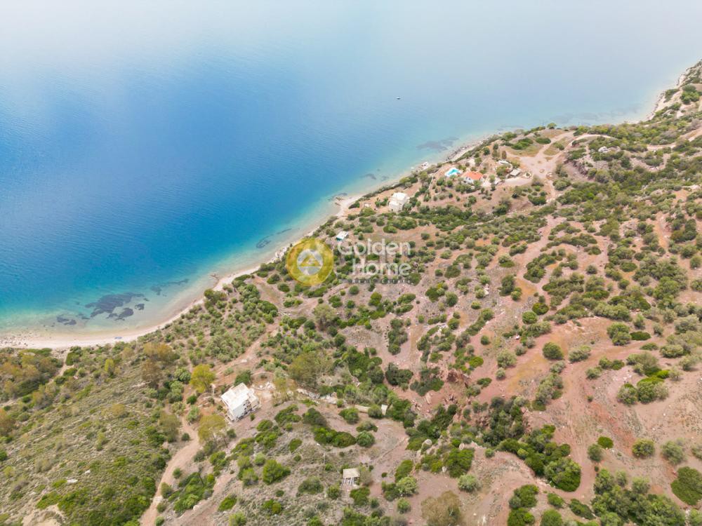 Οικόπεδο 24.000 τ.μ. προς πώληση, Όαση Λουτρακίου-Περαχώρας