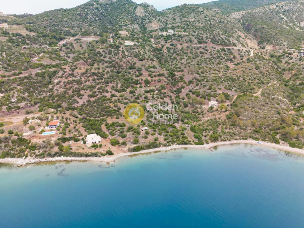 Οικόπεδο 24.000 τ.μ. προς πώληση, Όαση Λουτρακίου-Περαχώρας