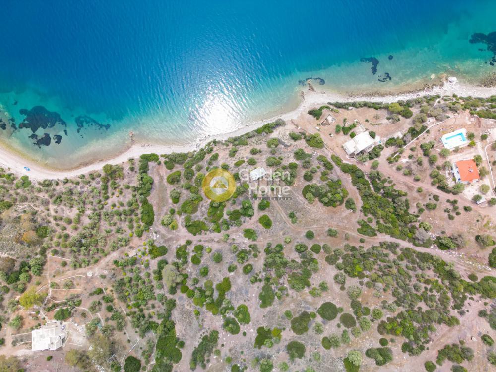 Οικόπεδο 24.000 τ.μ. προς πώληση, Όαση Λουτρακίου-Περαχώρας