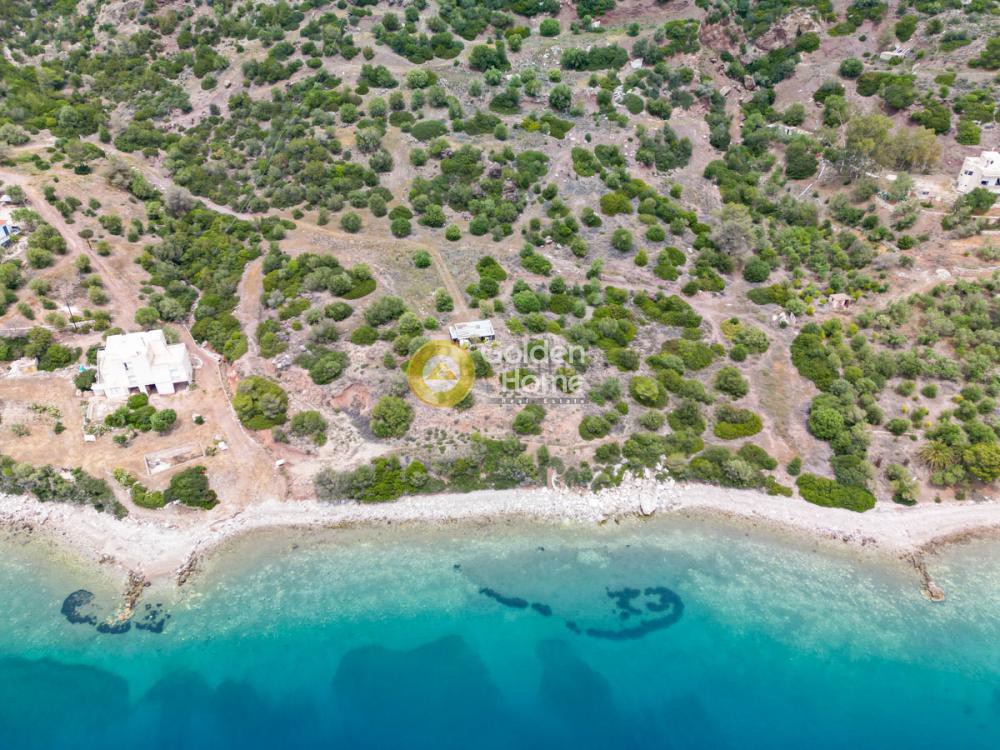 Οικόπεδο 24.000 τ.μ. προς πώληση, Όαση Λουτρακίου-Περαχώρας