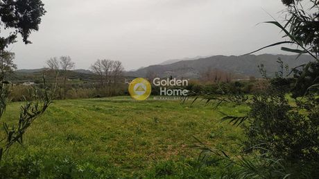 Οικόπεδο 4.800 τ.μ. προς πώληση
