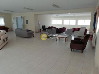 Business bulding 800 sqm for sale