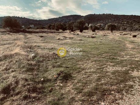 Αγροτεμάχια 1.000 τ.μ. για πώληση