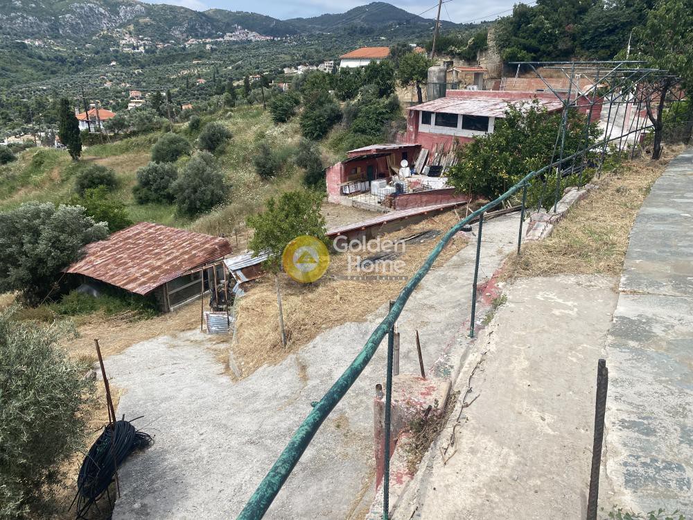 Οικόπεδο 13.217 τ.μ. προς πώληση, Παραλία Κύμης