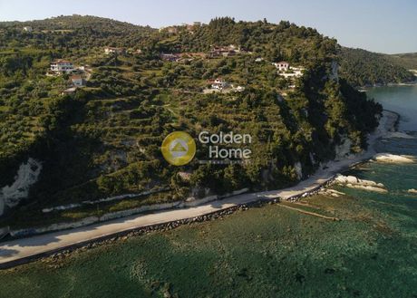 Οικόπεδο 13.217 τ.μ. προς πώληση