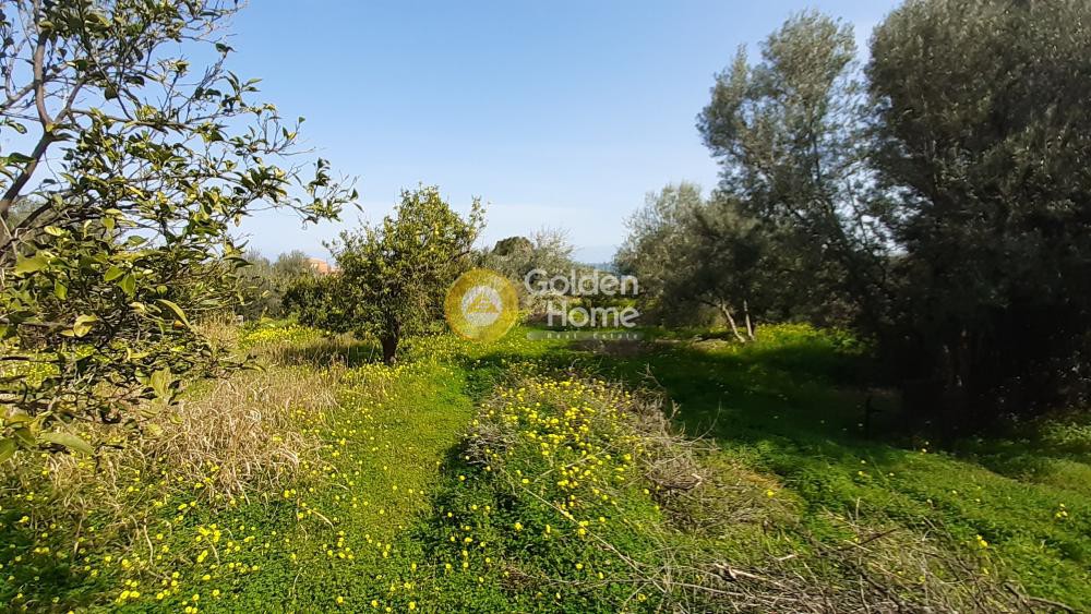 Οικόπεδο 570 τ.μ. προς πώληση, Λυγιά Ευρωστίνης