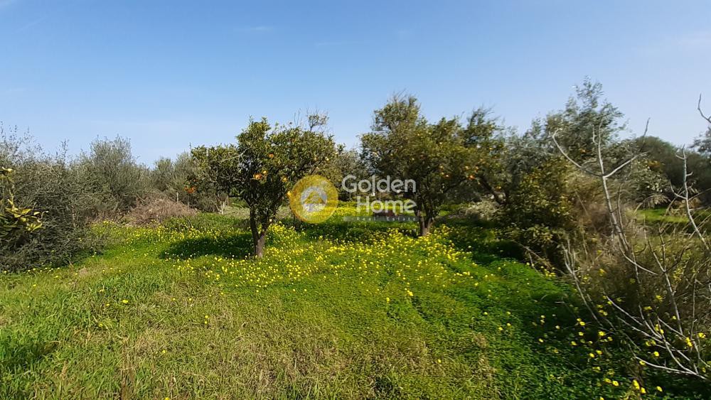 Οικόπεδο 570 τ.μ. προς πώληση, Λυγιά Ευρωστίνης
