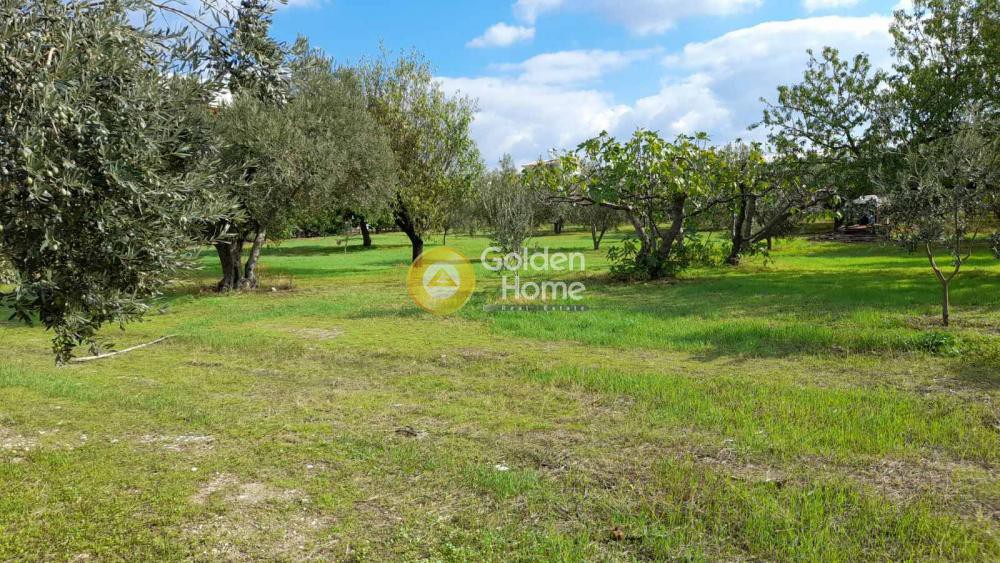 Οικόπεδο 5.723 τ.μ. προς πώληση, Λιβαδιά Ινναχωρίου