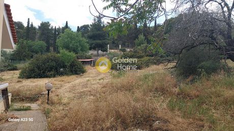 Land plot 3.000 sqm for sale