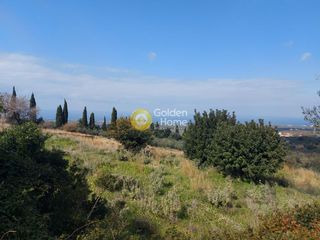 Αγροτεμάχια 2.311 τ.μ. για πώληση