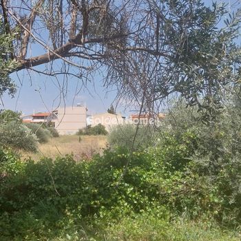 Οικόπεδο 2.100 τ.μ. για πώληση
