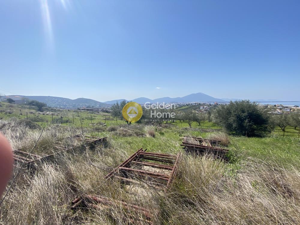 Οικόπεδο 647 τ.μ. προς πώληση, Έξω Παναγίτσα