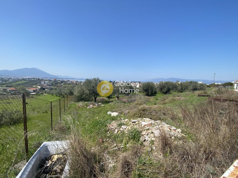 Οικόπεδο 647 τ.μ. προς πώληση, Έξω Παναγίτσα