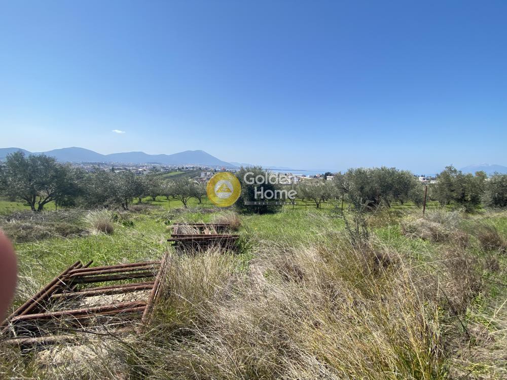 Οικόπεδο 647 τ.μ. προς πώληση, Έξω Παναγίτσα