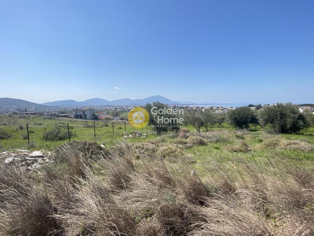 Οικόπεδο 647 τ.μ. προς πώληση, Έξω Παναγίτσα