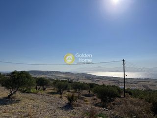 Αγροτεμάχια 6.380 τ.μ. για πώληση