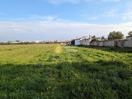 Αγροτεμάχια 6.805τ.μ. για πώληση-Μαρκόπουλο » Κέντρο
