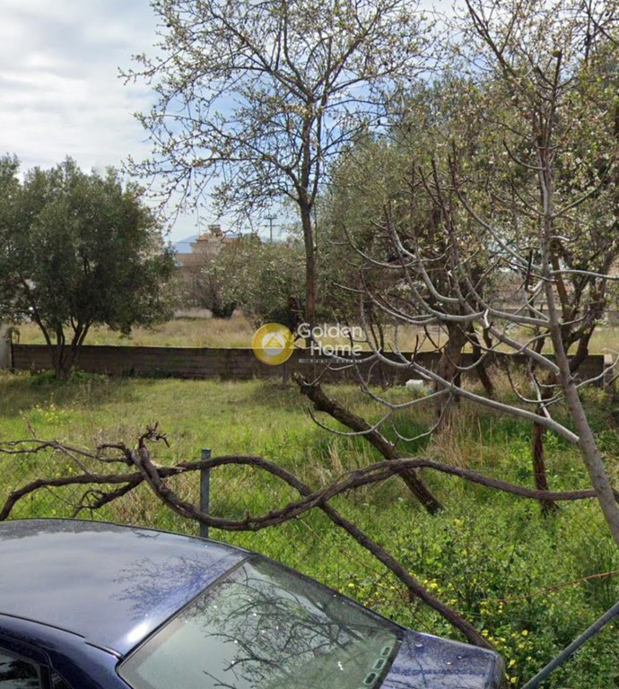 Αγροτεμάχια 229 τ.μ. προς πώληση, Λουτράκι Κορινθίας
