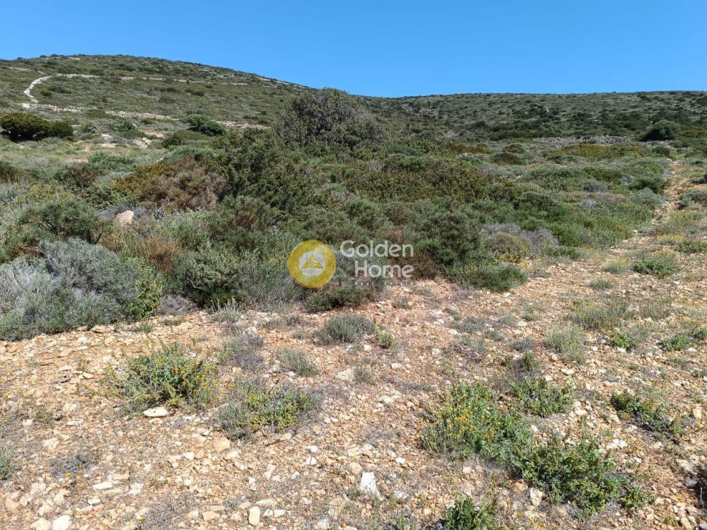 Αγροτεμάχια 6.645 τ.μ. προς πώληση, Ανερατζά