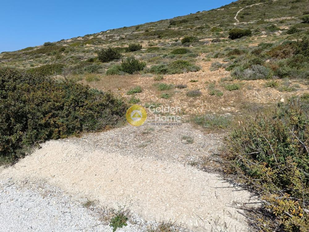 Αγροτεμάχια 6.645 τ.μ. προς πώληση, Ανερατζά
