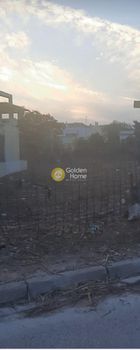 Οικόπεδο 430τ.μ. για πώληση-Βάρη- βάρκιζα » Ασύρματος αλίανθου