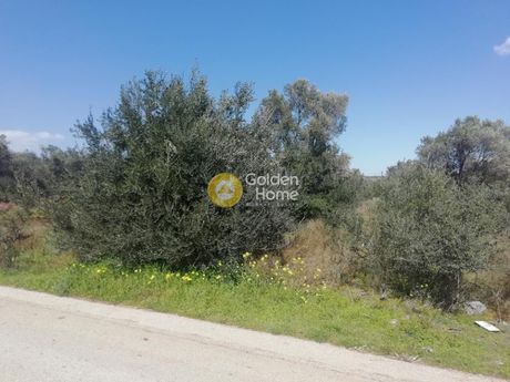 Αγροτεμάχια 2.500τ.μ. για πώληση-Παιανία » Βιο.πα