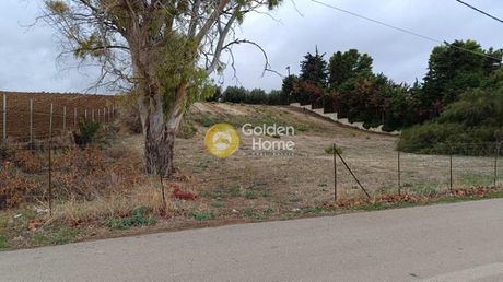Αγροτεμάχια 3.699τ.μ. για πώληση-Δαφνούσες » Αρκίτσα