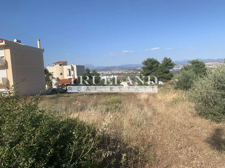 Land plot 300sqm for sale-Anthidonos