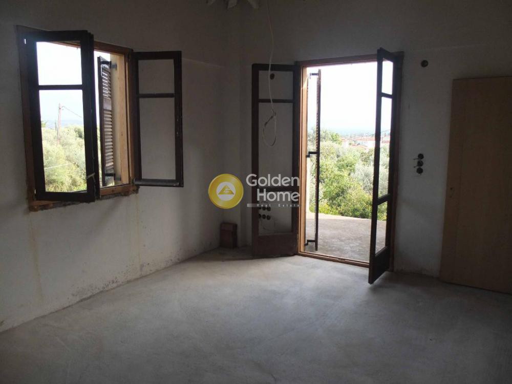 Μονοκατοικία 337 τ.μ. προς πώληση, Παλαιολόγιο