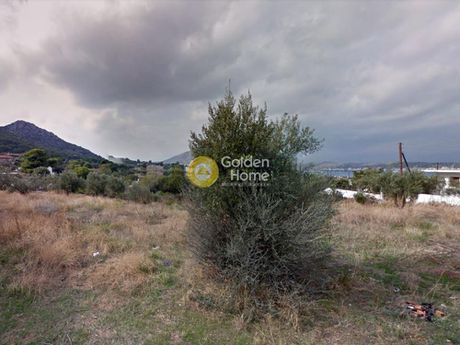 Οικόπεδο 4.500τ.μ. για πώληση-Σαλαμίνα » Κέντρο
