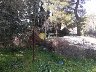 Άλλο 428 τ.μ. για πώληση