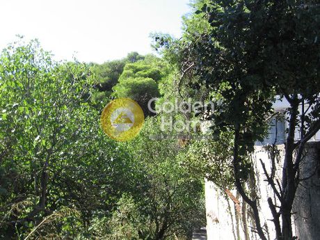 Οικόπεδο 864τ.μ. για πώληση-Μελίσσια » Άνω μελίσσια