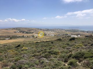 Αγροτεμάχια 8.658 τ.μ. για πώληση