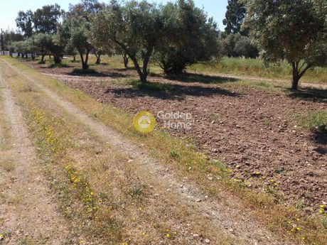 Οικόπεδο 5.500τ.μ. για πώληση-Παλαιά φώκαια » Κέντρο