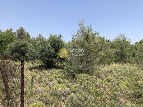 Οικόπεδο 174τ.μ. για πώληση-Αχαρνές » Μεγάλα σχοινία α