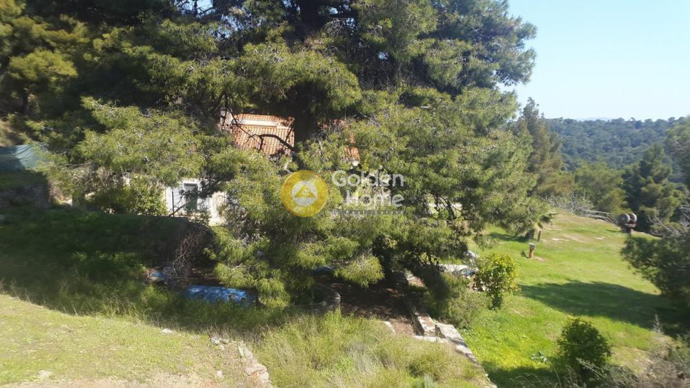 Μονοκατοικία 274 τ.μ. προς πώληση, Μαρκάτι